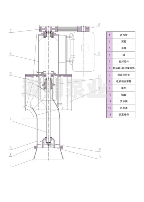 1724136312301893.jpg 2.jpg